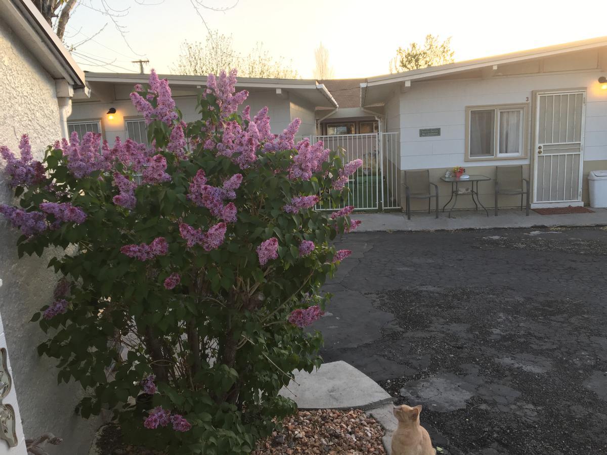 Midway Motel Caliente Eksteriør bilde